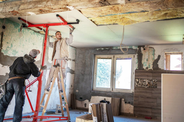 Best Best Insulation Companies  in Troy, MO