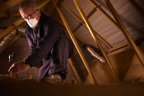 Best Local Insulation Services  in Troy, MO